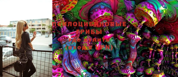 герыч Россошь