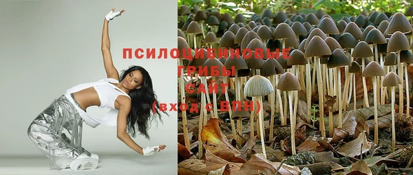 герыч Россошь