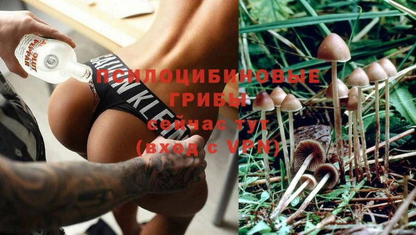 герыч Россошь
