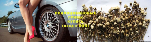герыч Россошь