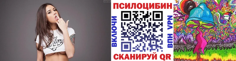 Галлюциногенные грибы Magic Shrooms  где продают   Сретенск 